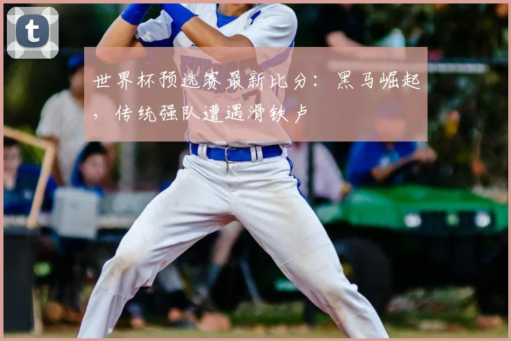 世界杯预选赛最新比分：黑马崛起，传统强队遭遇滑铁卢
