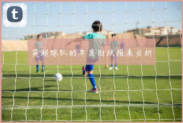 英超球队的年度财政报表分析