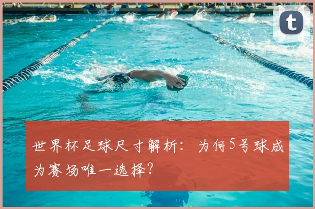 世界杯足球尺寸解析：为何5号球成为赛场唯一选择？