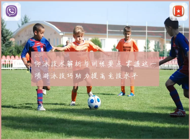 仰泳技术解析与训练要点 掌握这一项游泳技巧助力提高竞技水平