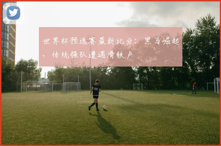 世界杯预选赛最新比分：黑马崛起，传统强队遭遇滑铁卢