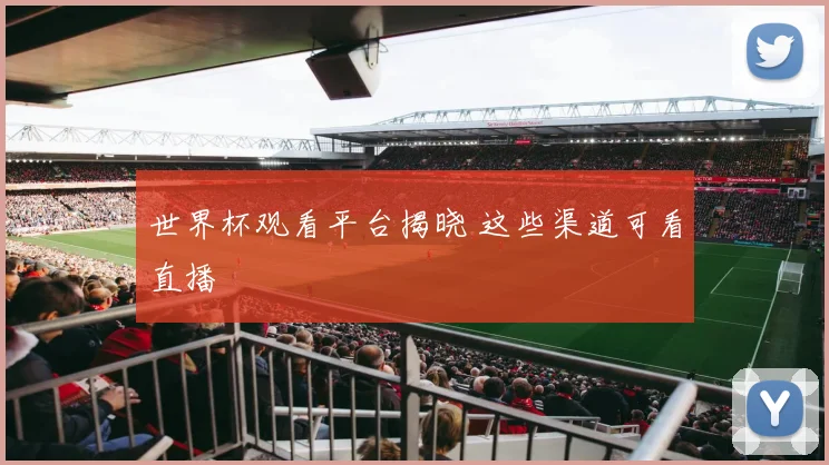 世界杯观看平台揭晓 这些渠道可看直播