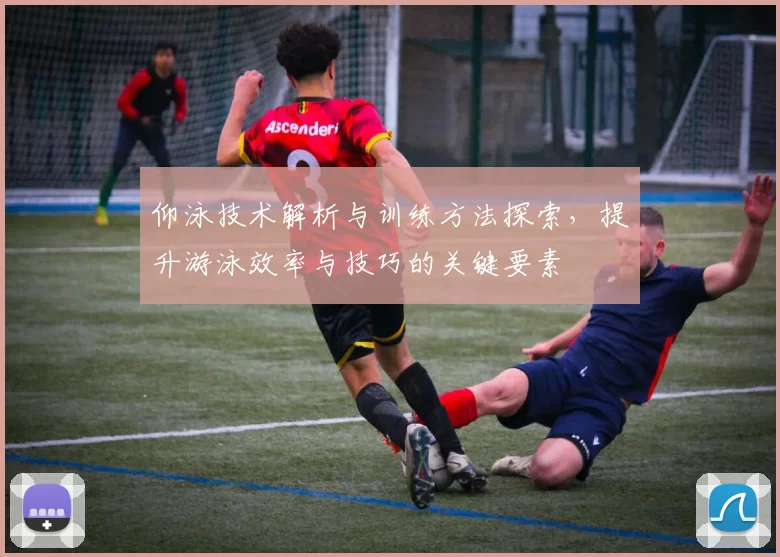 仰泳技术解析与训练方法探索，提升游泳效率与技巧的关键要素