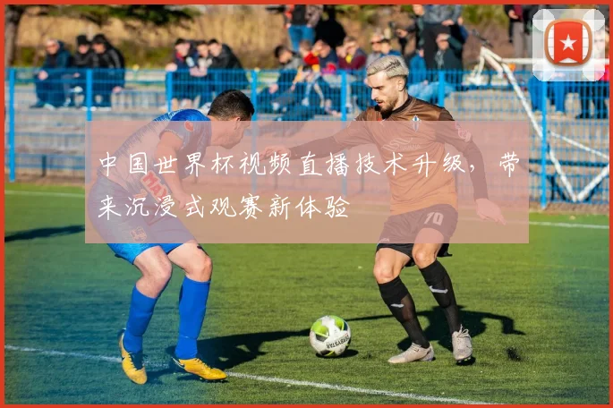 中国世界杯视频直播技术升级，带来沉浸式观赛新体验