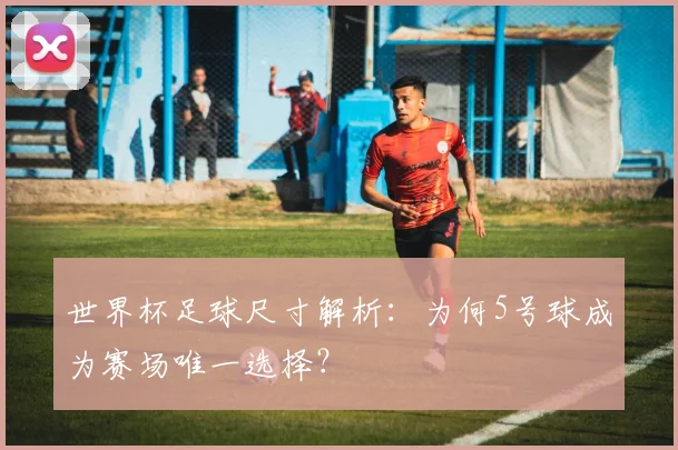 世界杯足球尺寸解析：为何5号球成为赛场唯一选择？